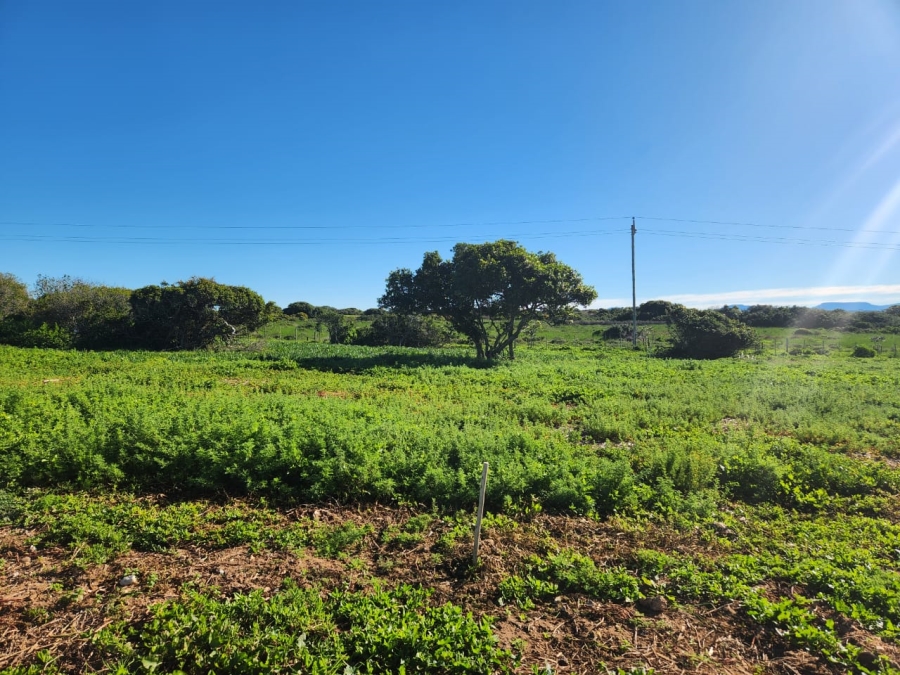 0 Bedroom Property for Sale in Stilbaai Wes Western Cape